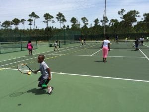 Gully pictures  June 2015 001