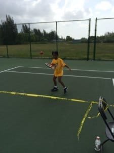 Gully pictures  June 2015 003