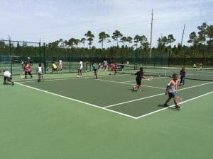 Gully pictures  June 2015 005