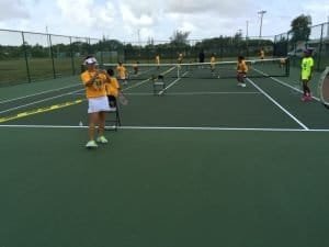 Gully pictures  June 2015 012