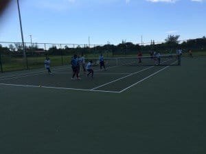 Gully  Sept  2015 004